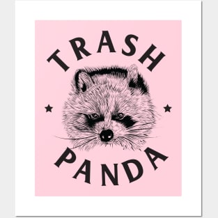 Trash Panda Posters and Art